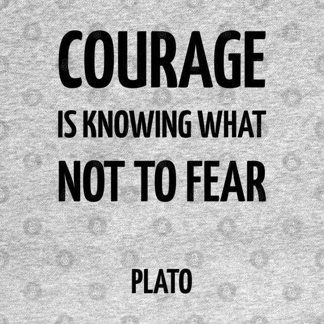 Courage is knowing what not to fear by InspireMe